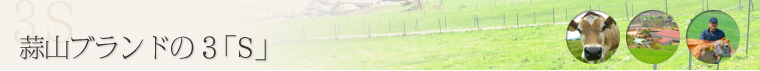 �uSAFETY�v�i���S�ւ̎��g�݁j