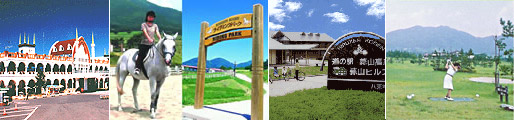 �Ђ邺����ӂ̊ό��{��