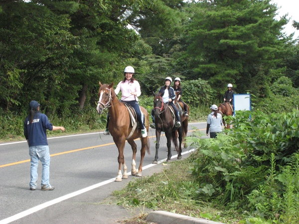 道路も歩くよ