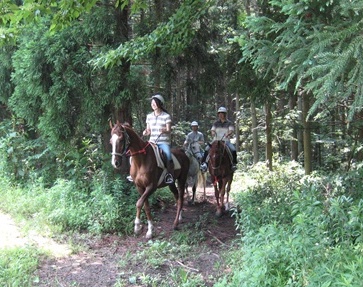 ありがとう お馬さん
