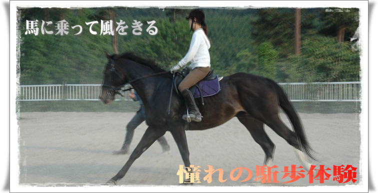 駈歩体験パックイメージ