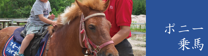 ポニー乗馬 ポニー乗馬