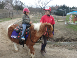 ポニー乗馬