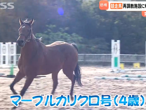 �J���N��