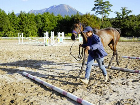 ���{�[��