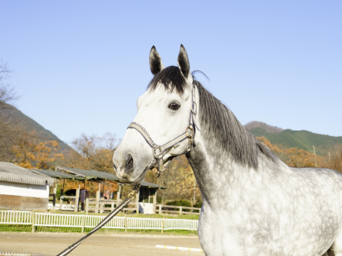 �T���}��