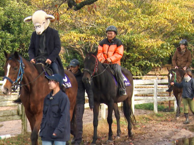 ���܂�����