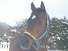 ICON�摜